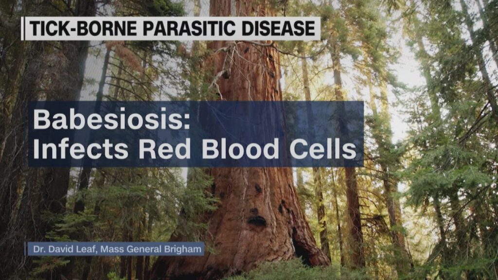 A pharmacist helping a patient at the pharmacy counter with their prescription