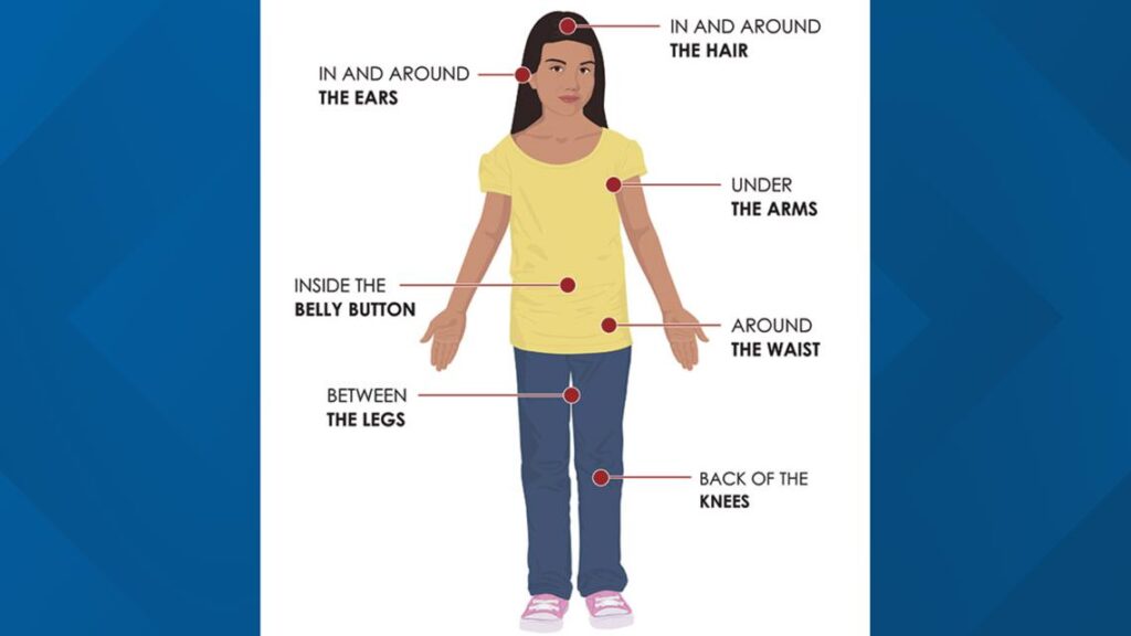 A close-up view of a tick in a grassy area, representing the threat of tick-borne diseases