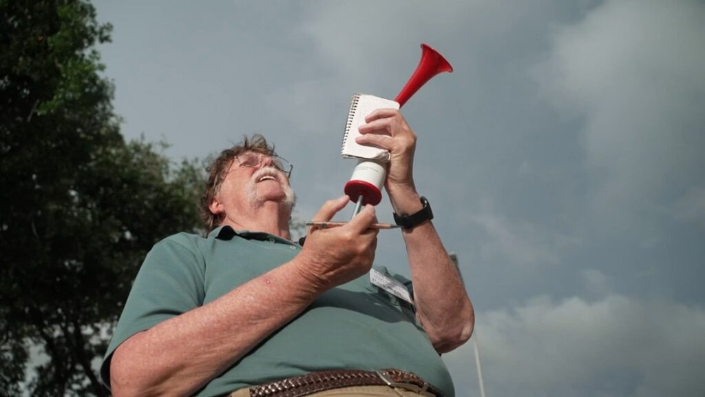 A residential neighborhood tree canopy where egrets typically attempt to nest
