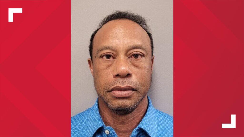 Sheriff's report and legal documents regarding the driving under the influence case