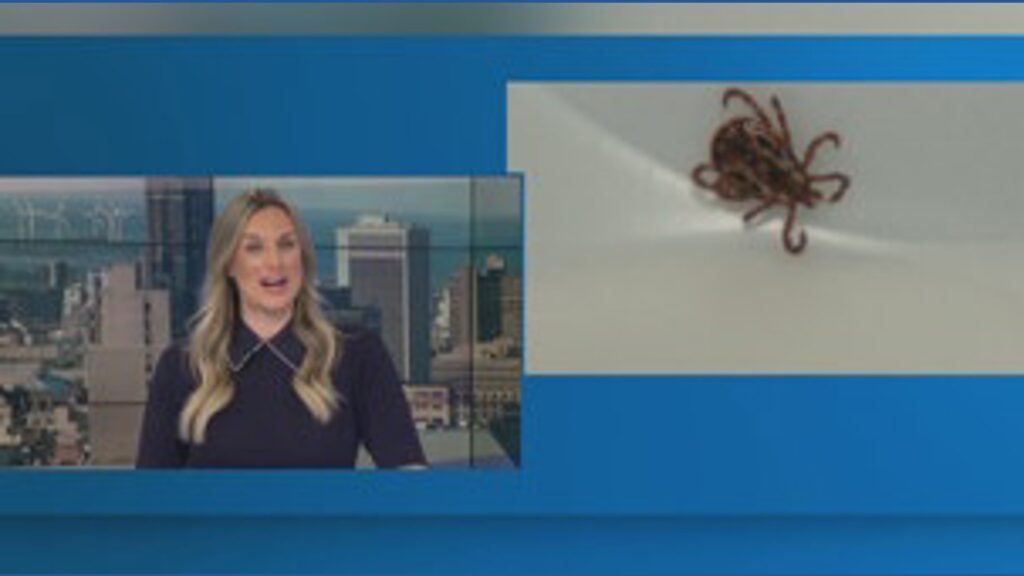 A doctor and patient having a discussion in a medical consultation room